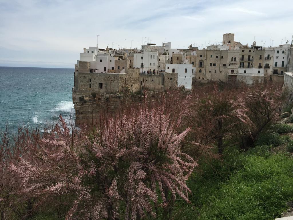 La Casetta 19 Polignano a Mare Bilik gambar